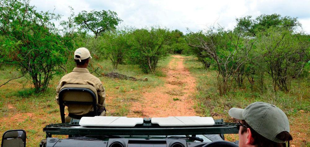 Tingala Lodge - Bed In The Bush Phalaborwa Exterior foto